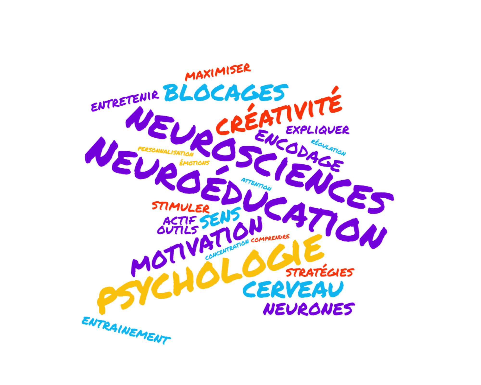 Nuage de mots liés à la neuroéducation